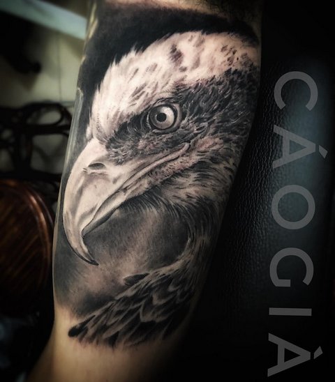 Значение татуировки орел на зоне. Трактовка символа для мужчин и девушек