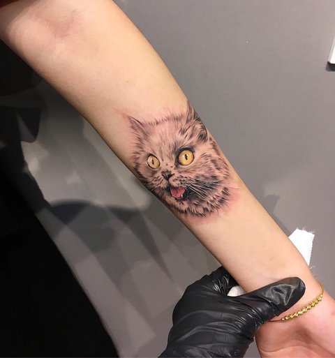 Значение татуировки Кошек