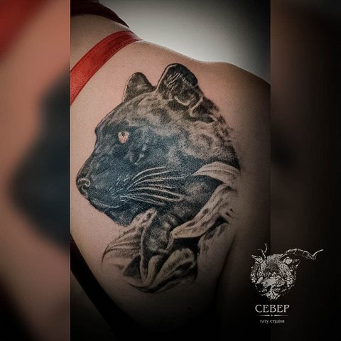 Татуировка пантера на ключице
