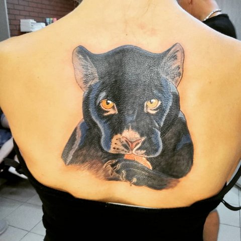 Большая татуировка зверя на спине девушки