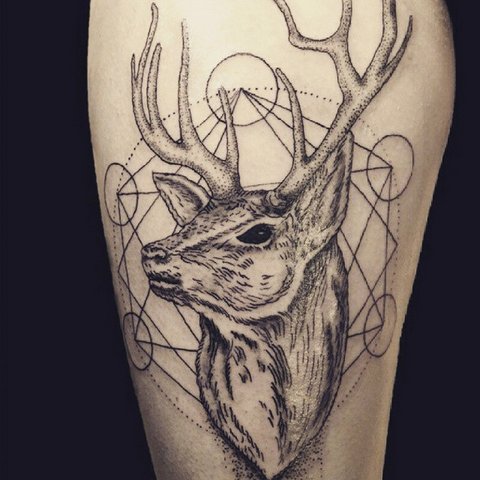 Татуировки оленей