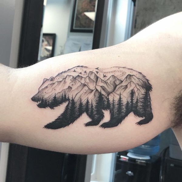 Калифорнийский Медведь и Лес