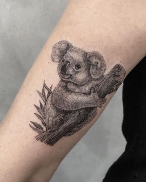 Медведь Коала Татуировка