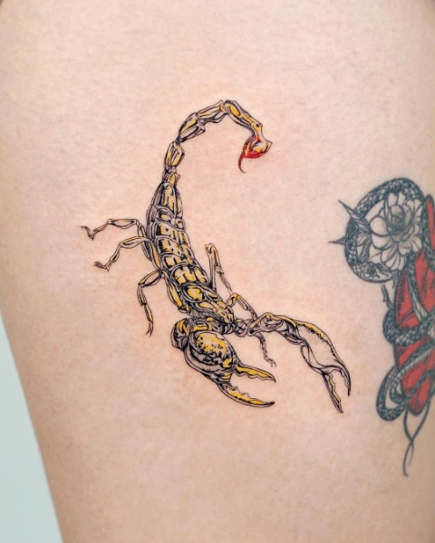 Значение Татуировки Скорпион на Зоне